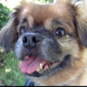 Meet your Posher, Andy